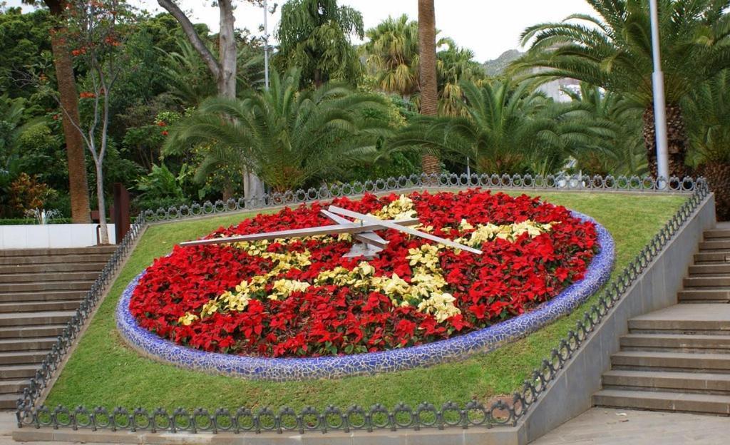Santa Cruz De Tenerife Toscal Buitenkant foto